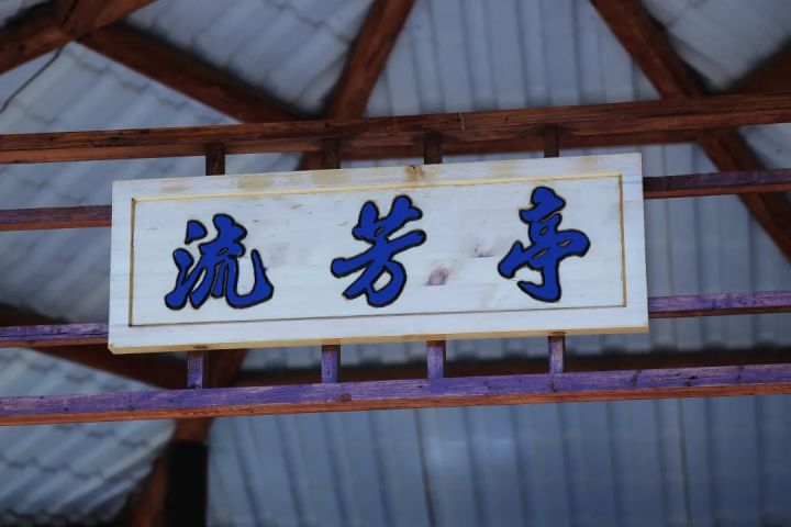 1621390584191190.jpg