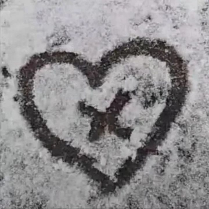 1636681678101933.jpg